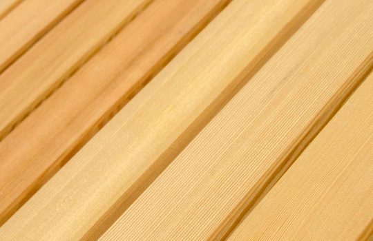 עץ אורן לדק2